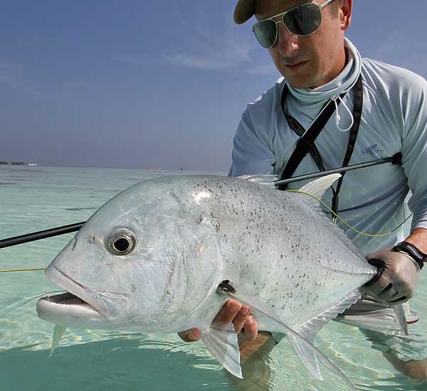 Fliegenfischen auf Giant Trevally ist für viele Angler das Größte